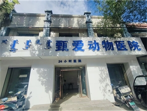 赛罕区双树商业街空铺出租