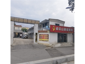 新城区阿尔泰附近大院出租 